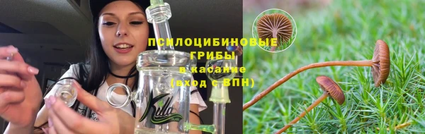 первитин Армянск