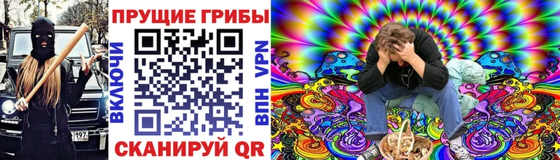 площадка наркотические препараты  где можно купить   Малмыж  Галлюциногенные грибы Psilocybe 
